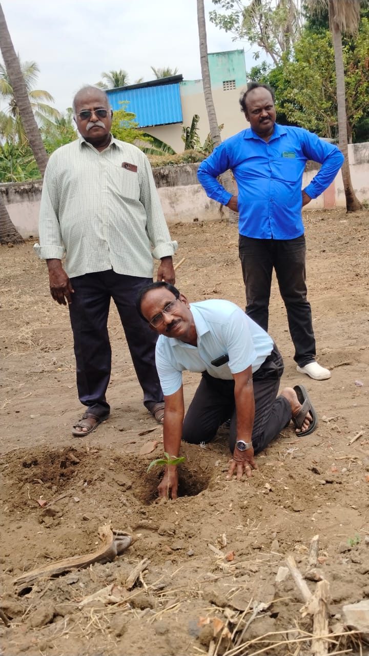 நடப்பட்ட மரக்கன்றுக்கு நீர் ஊற்றும் காட்சி